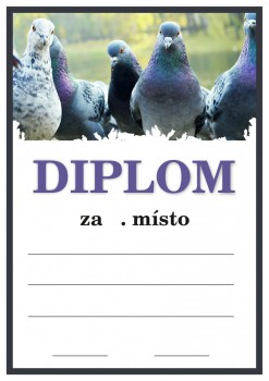 Kokardy.cz ® Diplom holubi D140