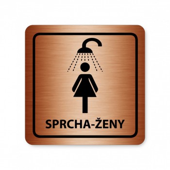 Kokardy.cz ® Piktogram Sprcha-ženy bronz