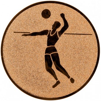 Kokardy.cz ® Emblém beach volejbal bronz 50 mm