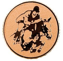 Kokardy.cz ® Emblém jezdectví bronz 25 mm