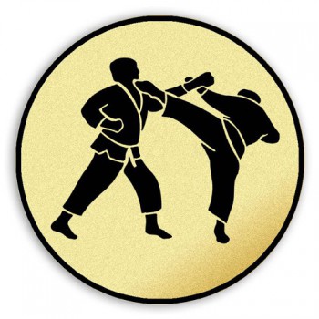Kokardy.cz ® Emblém tištěný Karate 100 mm