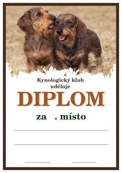 Kokardy.cz ® Diplom jezevčík D142