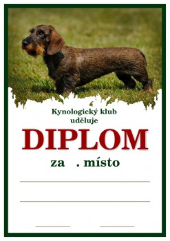 Kokardy.cz ® Diplom jezevčík D141