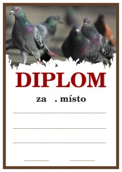 Kokardy.cz ® Diplom holubi D138