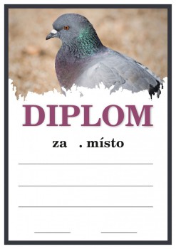 Kokardy.cz ® Diplom holubi D139