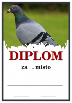 Kokardy.cz ® Diplom holubi D26
