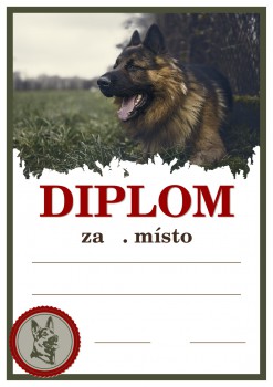 Kokardy.cz ® Diplom německý ovčák D162