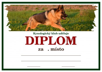 Kokardy.cz ® Diplom německý ovčák D161