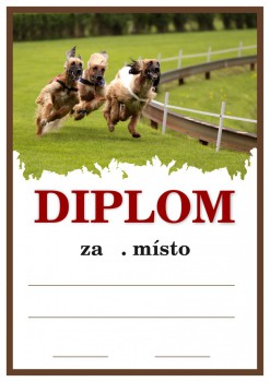 Kokardy.cz ® Diplom chrti D158