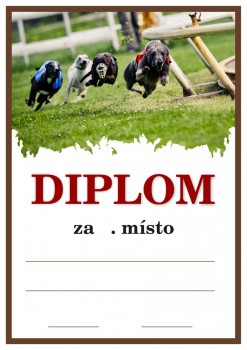 Kokardy.cz ® Diplom chrti D157