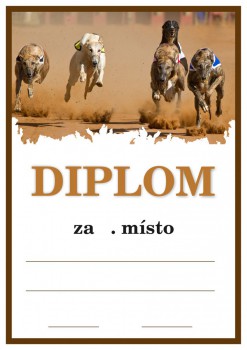 Kokardy.cz ® Diplom chrti D156