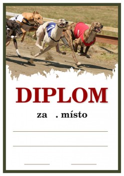 Kokardy.cz ® Diplom chrti D155